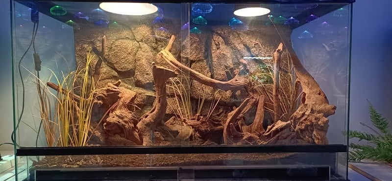 WOLEDOE Fake Desert Dry Grass, Reptile Plants for Terrarium, Bearded Dragon Tank Accessories Habitat Decor fit Crested Gecko Leopard Lizard Chameleon Ball Python Snake - Image 4